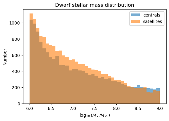 Stellar-mass distribution of the TNG50 dwarf catalogue