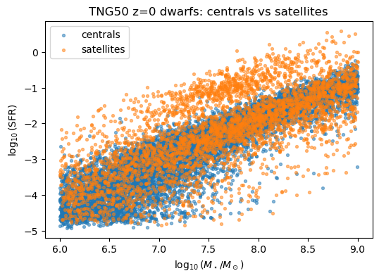 Star-formation rate versus stellar mass for z=0 dwarf galaxies in TNG50